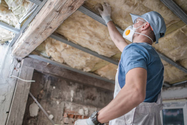 Best Residential Insulation in Highfill, AR